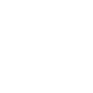 Vision